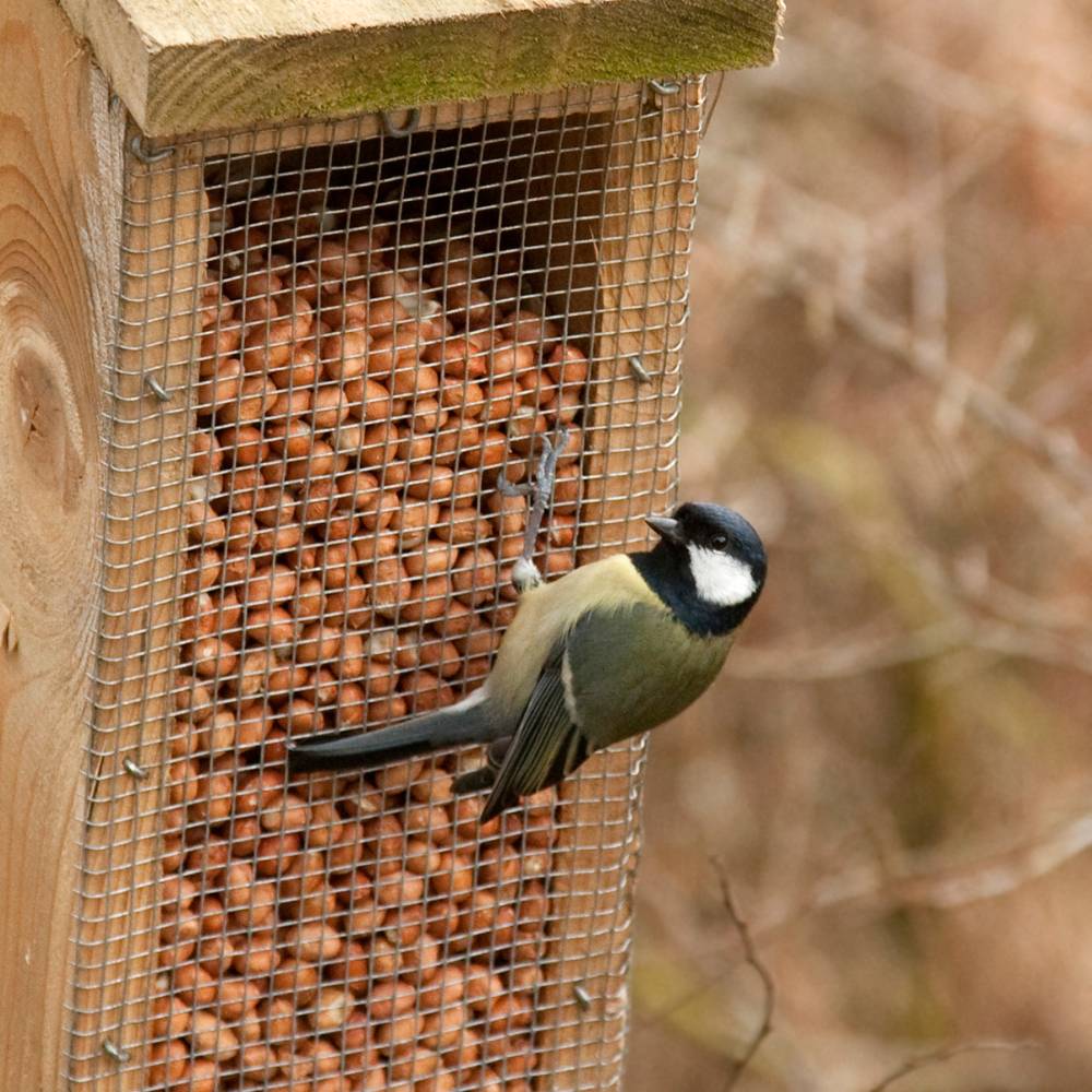 Peanuts for Birds - 12.55kg